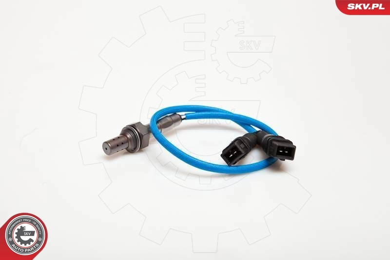 Oxygen Sensor